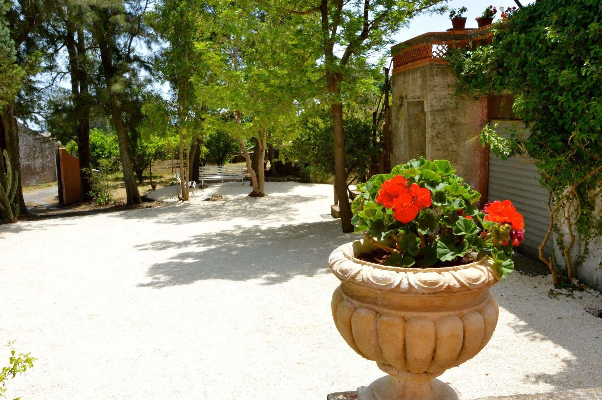 Villa Bonaccorso - Antica E Maestosa Villa Con Piscina Ai Piedi Dell'Etna Viagrande Dış mekan fotoğraf
